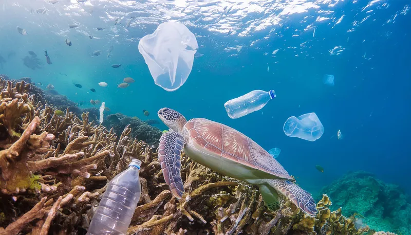 Mercan resifi üzerinde plastik şişe ve poşetlerin arasında yüzen deniz kaplumbağası